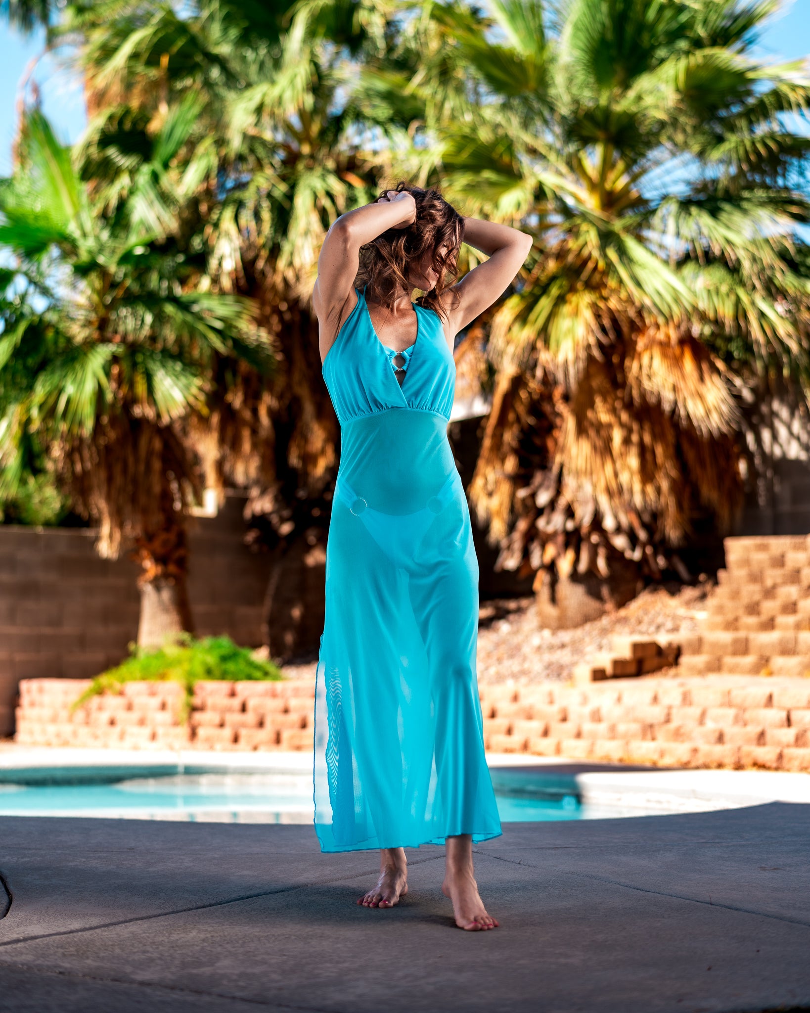 Siren Mesh Dress