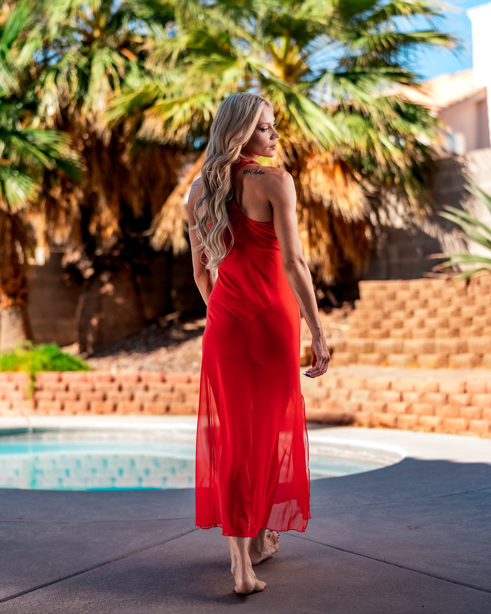 Siren Mesh Dress